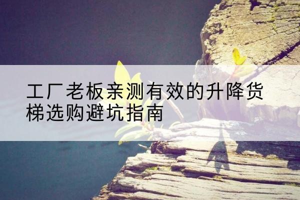 青州升降货梯怎么选-工厂老板亲测有效的升降货梯选购避坑指南