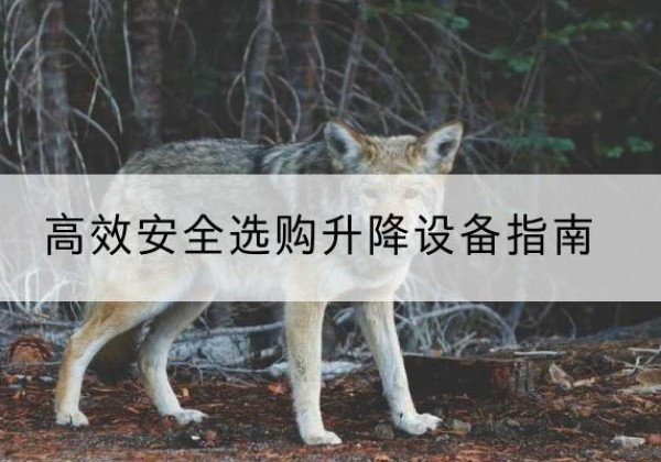 青州升降货梯厂家推荐-*安全选购升降设备指南