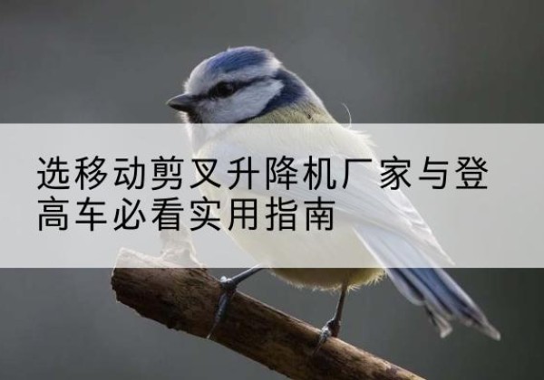 青州电动升降机厂家-选移动剪叉升降机厂家与登高车必看实用指南