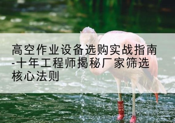 青州剪叉式升降机厂家-高空作业设备选购实战指南-十年工程师揭秘厂家筛选核心法则