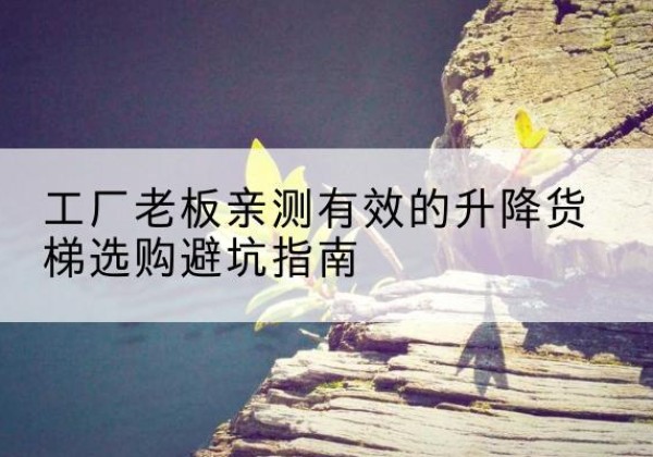 青州升降货梯怎么选-工厂老板亲测有效的升降货梯选购避坑指南